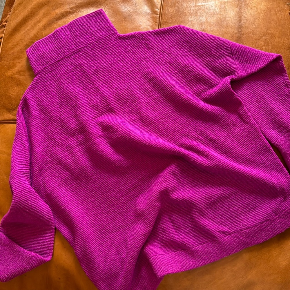 Chelsea and Theodore sweater
